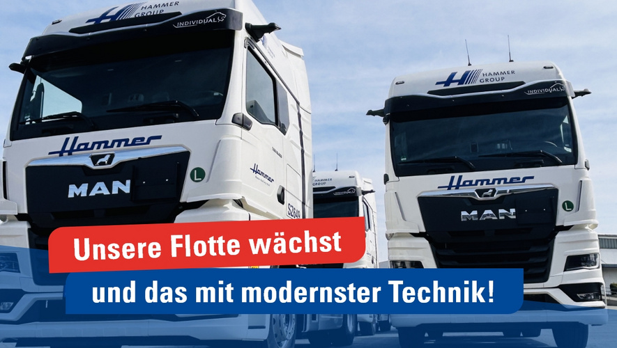 MAN TGX 18.520 LKW Flotte MAN TGX 18.520 LKW Flotte